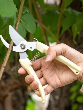 1pc Minimalist Pruning Shear