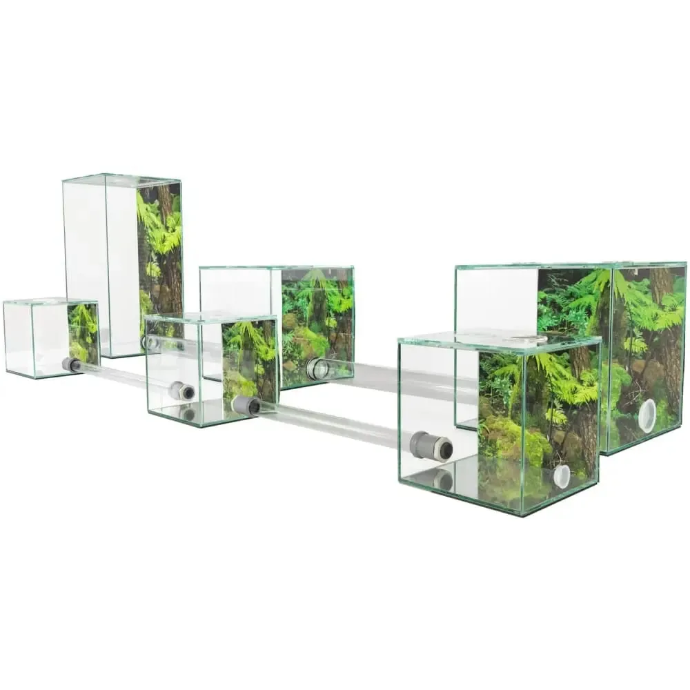 ANTCUBE – Starter Set for Leaf Cutter ants – Large